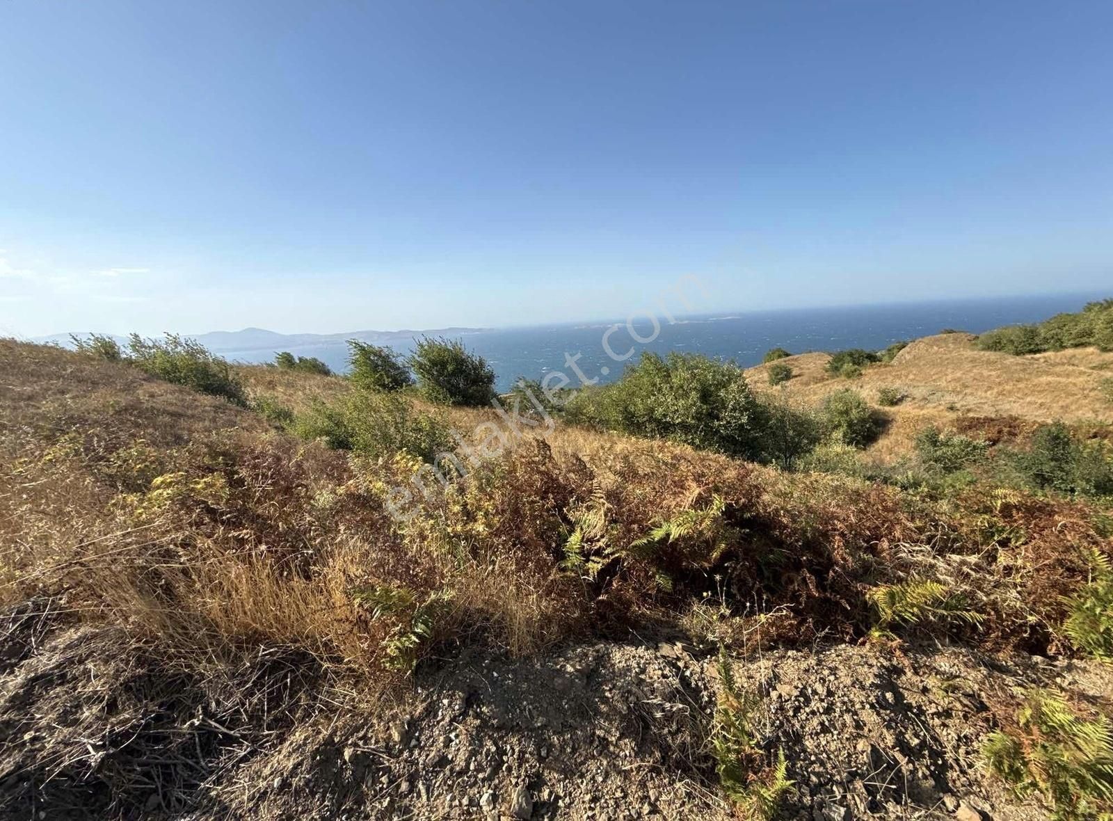 Frang Group'tan -bandırma Sahil Yenicede Asfalta Cephe 2.782 M2 - Görsel 9