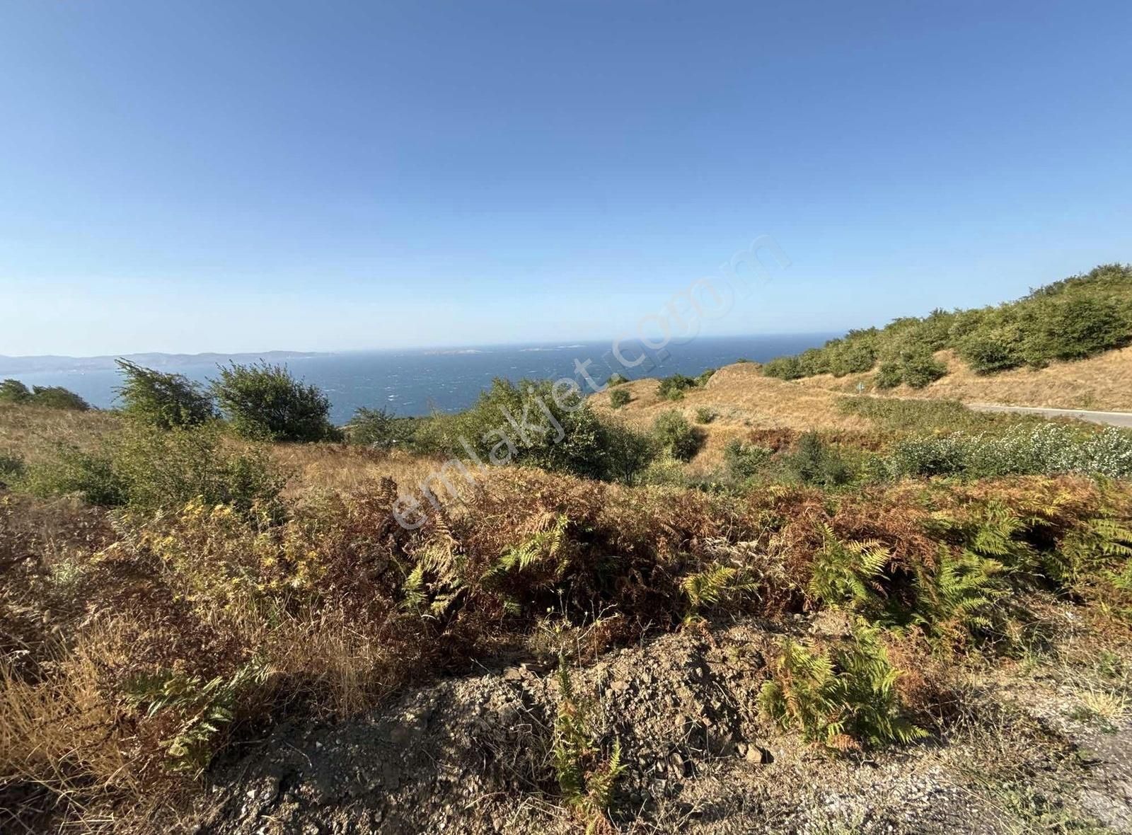 Frang Group'tan -bandırma Sahil Yenicede Asfalta Cephe 2.782 M2 - Görsel 22