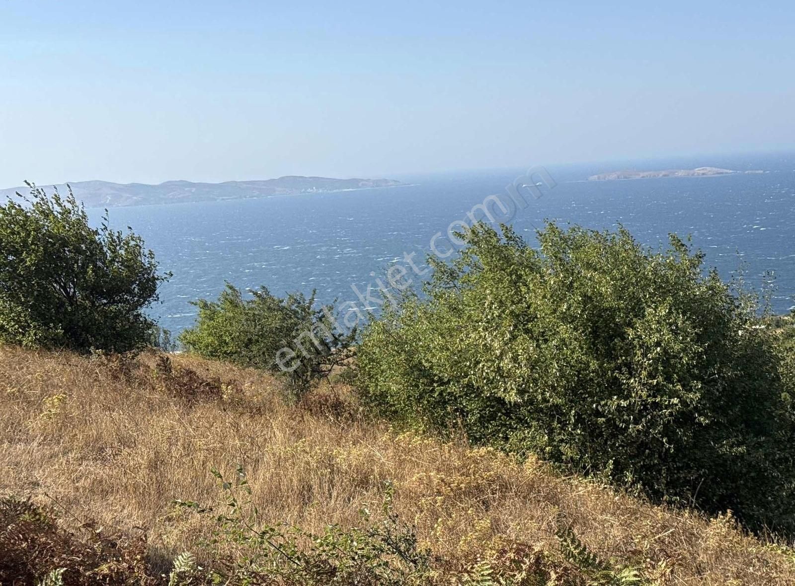 Frang Group'tan -bandırma Sahil Yenicede Asfalta Cephe 2.782 M2 - Görsel 2