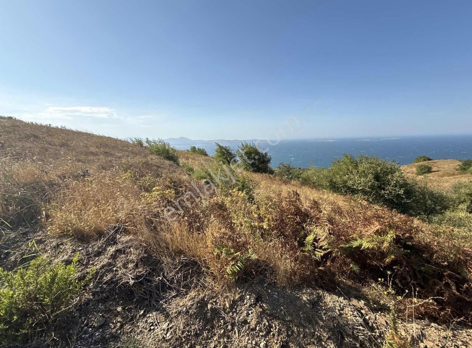 Bandırma Sahil Yenicede Asvalta Cephe 2.782 M2
