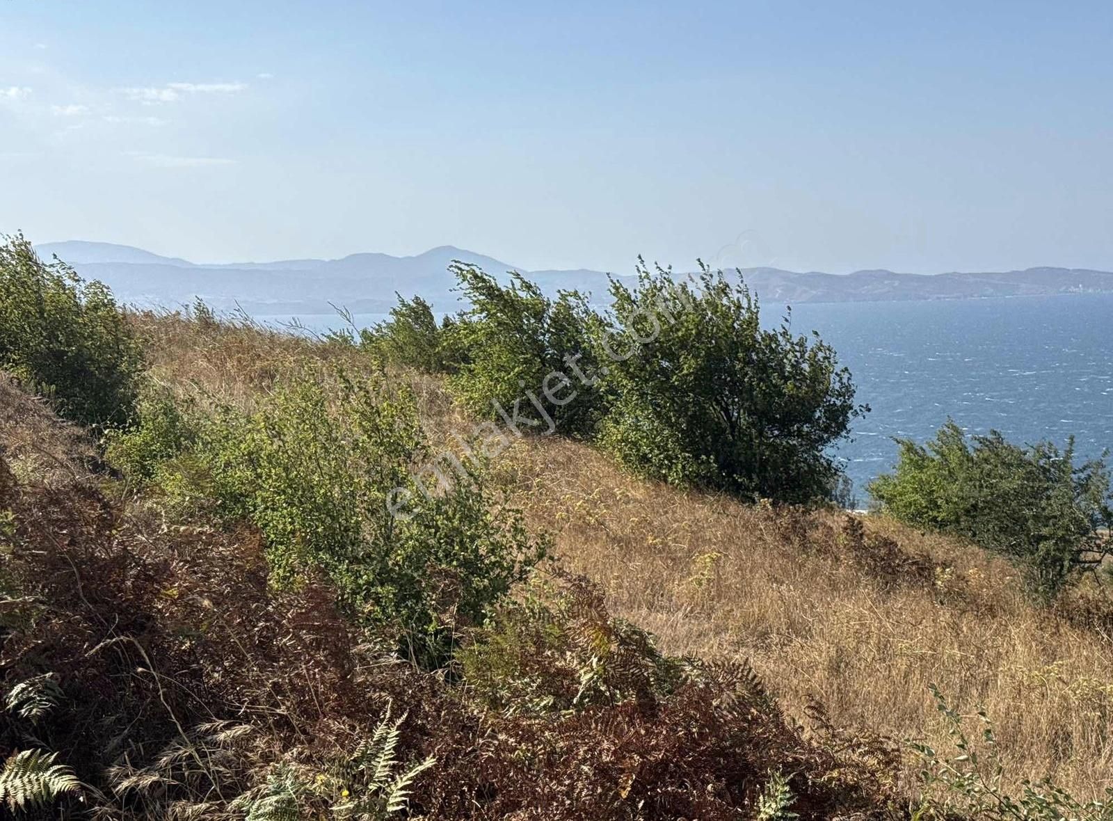 Frang Group'tan -bandırma Sahil Yenicede Asfalta Cephe 2.782 M2 - Görsel 20