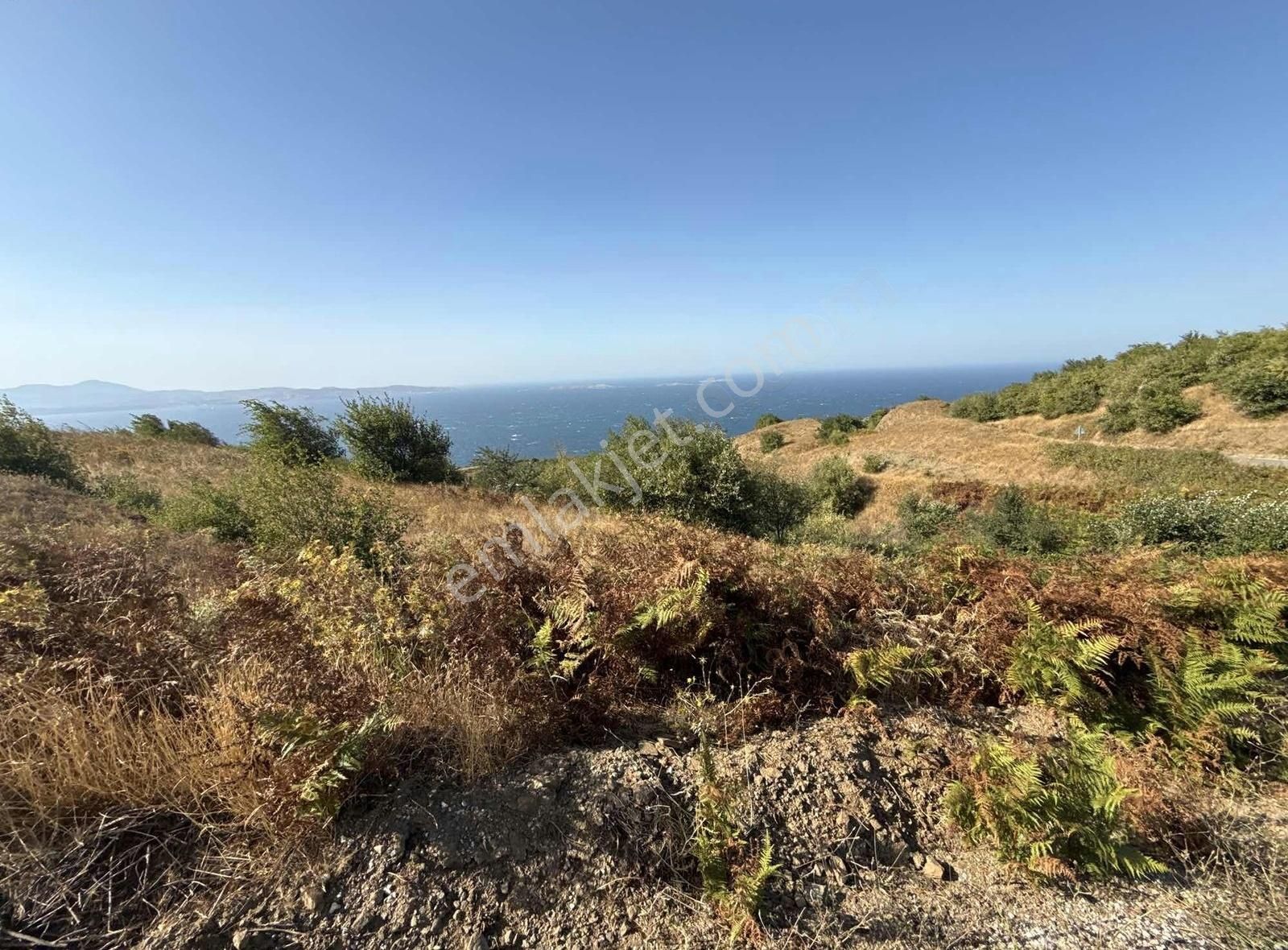 Frang Group'tan -bandırma Sahil Yenicede Asfalta Cephe 2.782 M2 - Görsel 26