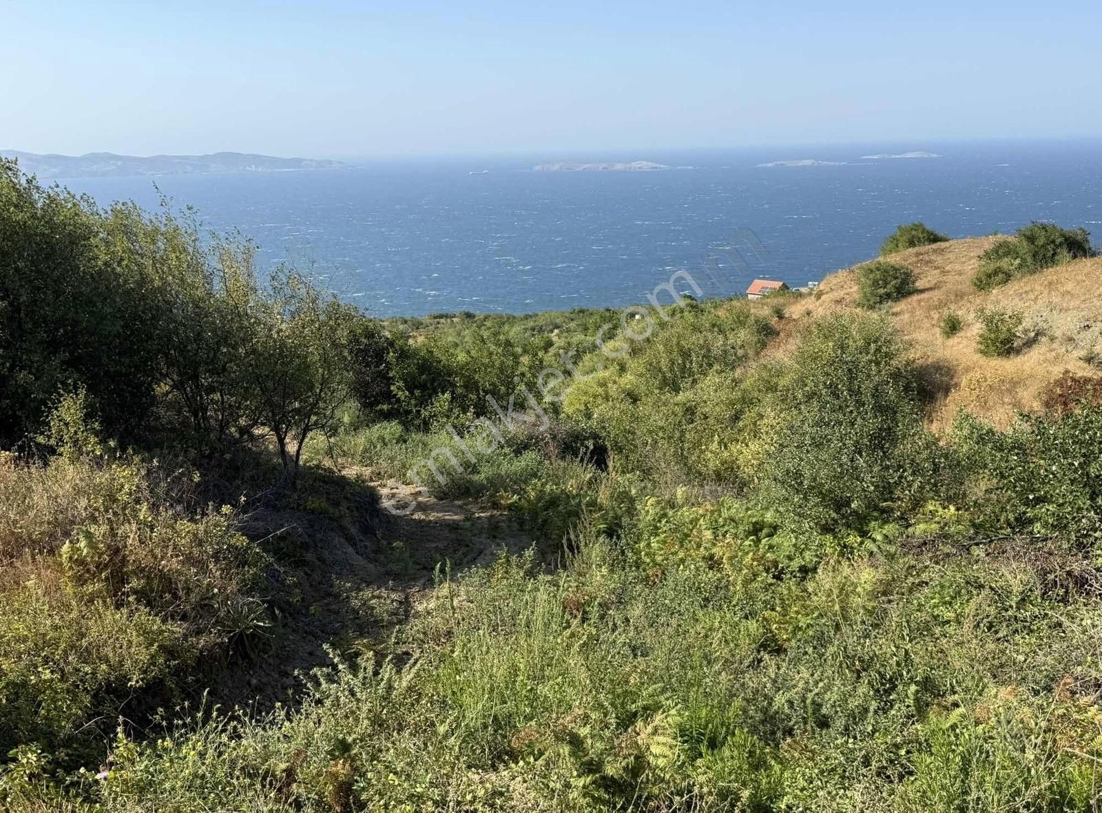 Frang Group'tan -bandırma Sahil Yenicede Asfalta Cephe 2.782 M2 - Görsel 30