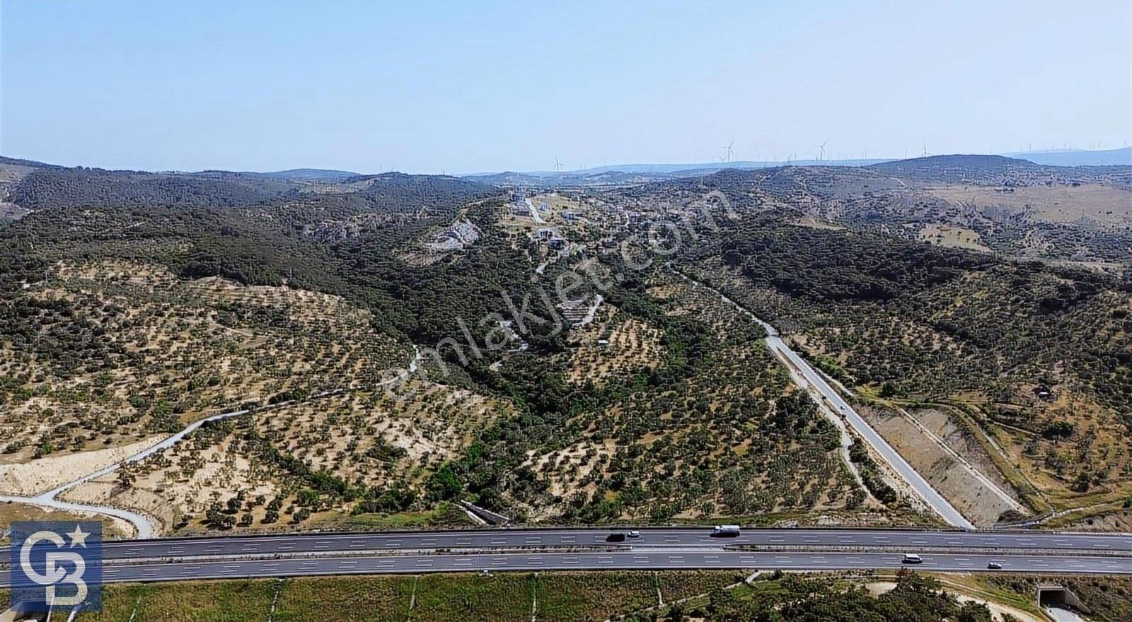 Aliağa Aşağışakran'da Satılık 8400m2 Zeytinlik - Görsel 7