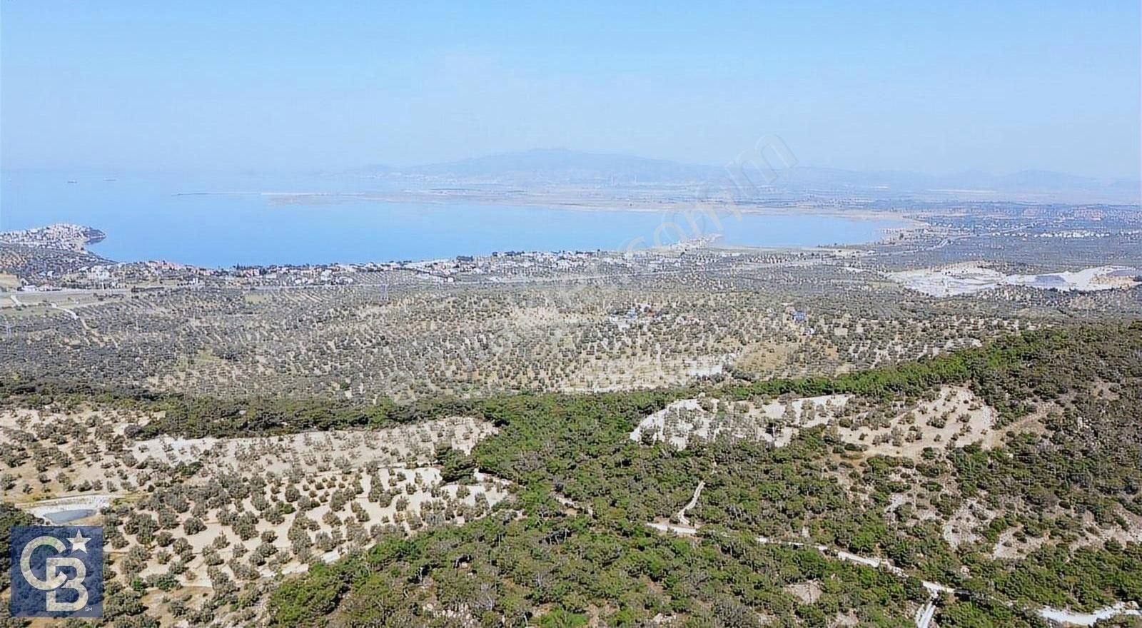 Aliağa Aşağışakran'da Satılık 8400m2 Zeytinlik - Görsel 6