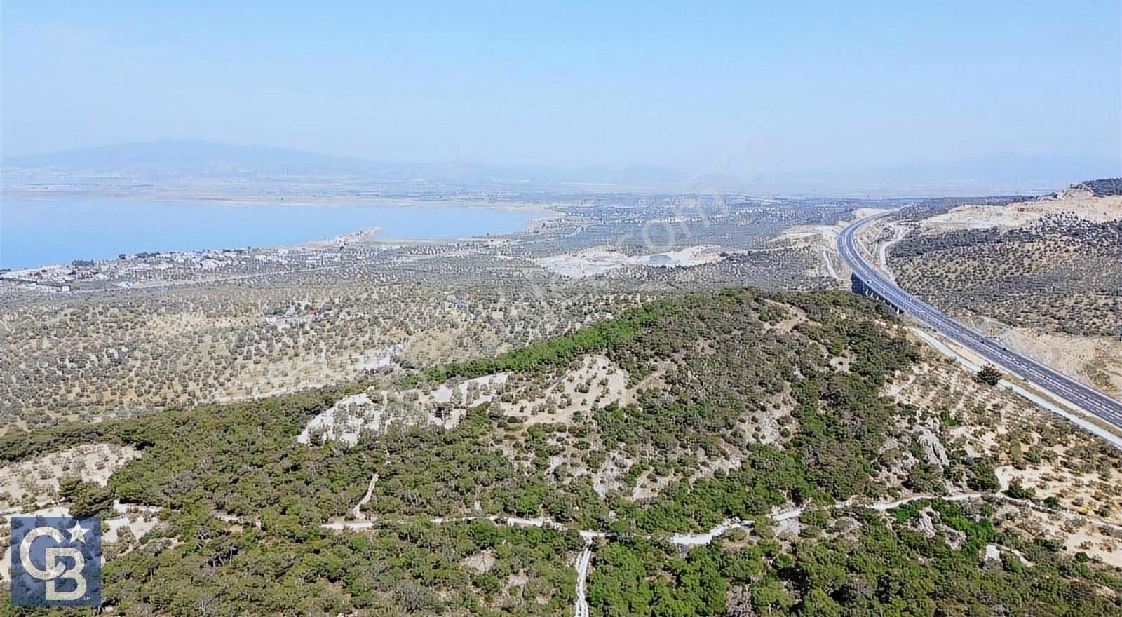 Aliağa Aşağışakran'da Satılık 8400m2 Zeytinlik - Görsel 3
