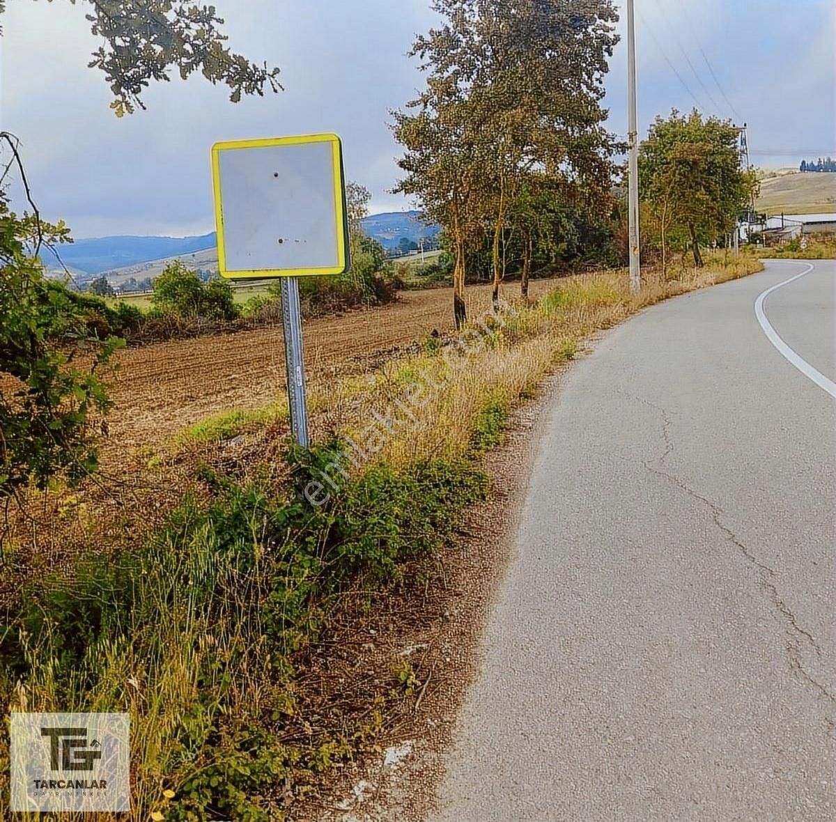 Tarcanlar'dan Yatırımlık Asfalt Yola Cephe Fırsat Tarla