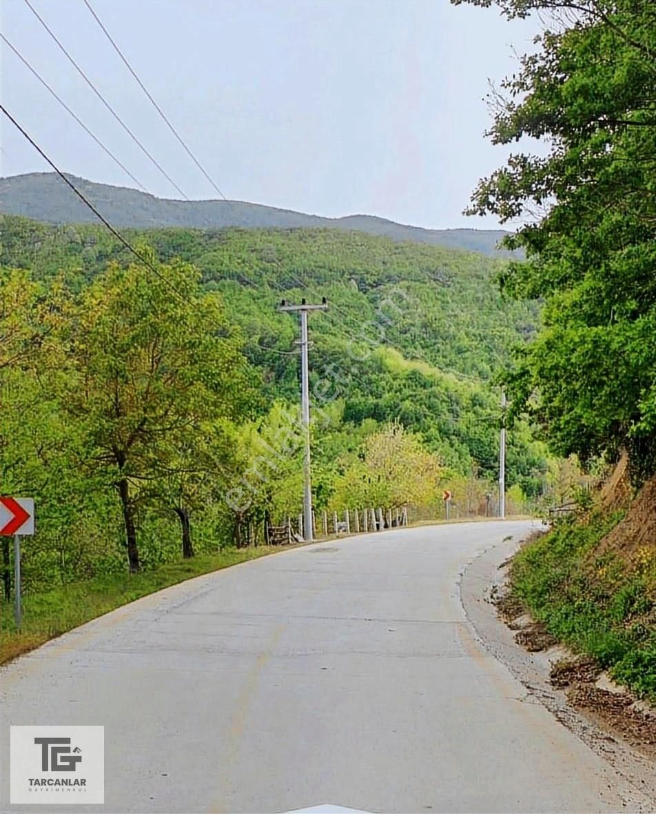 Tarcanlar'dan Karamürsel Senaiye'de Yatırımlık Fırsat Tarla