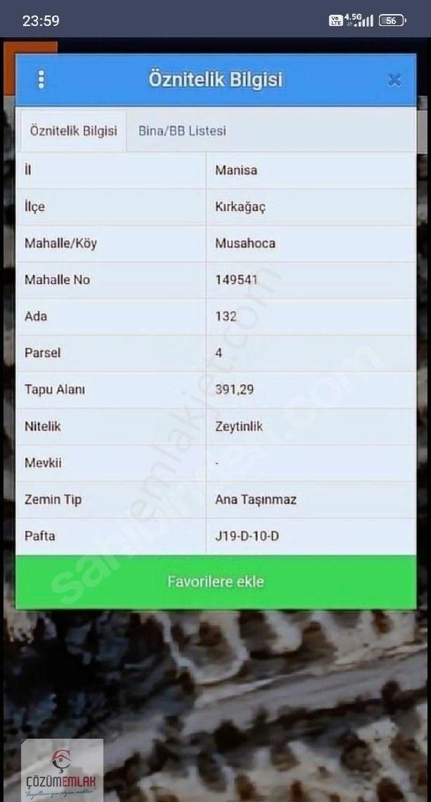 Kırkağaç Musahoca'da Satılık Zeytinlik - Görsel 2