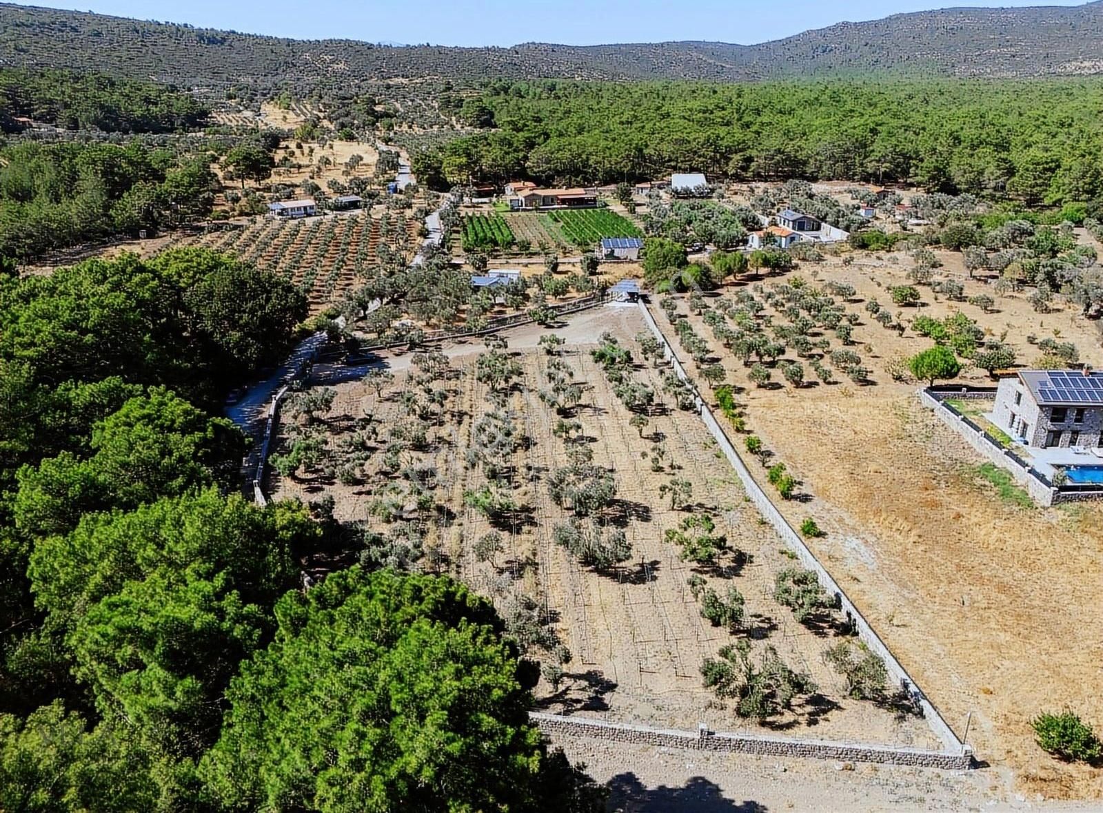Urla Barbaros Köyü Satılık Tarla - Görsel 23