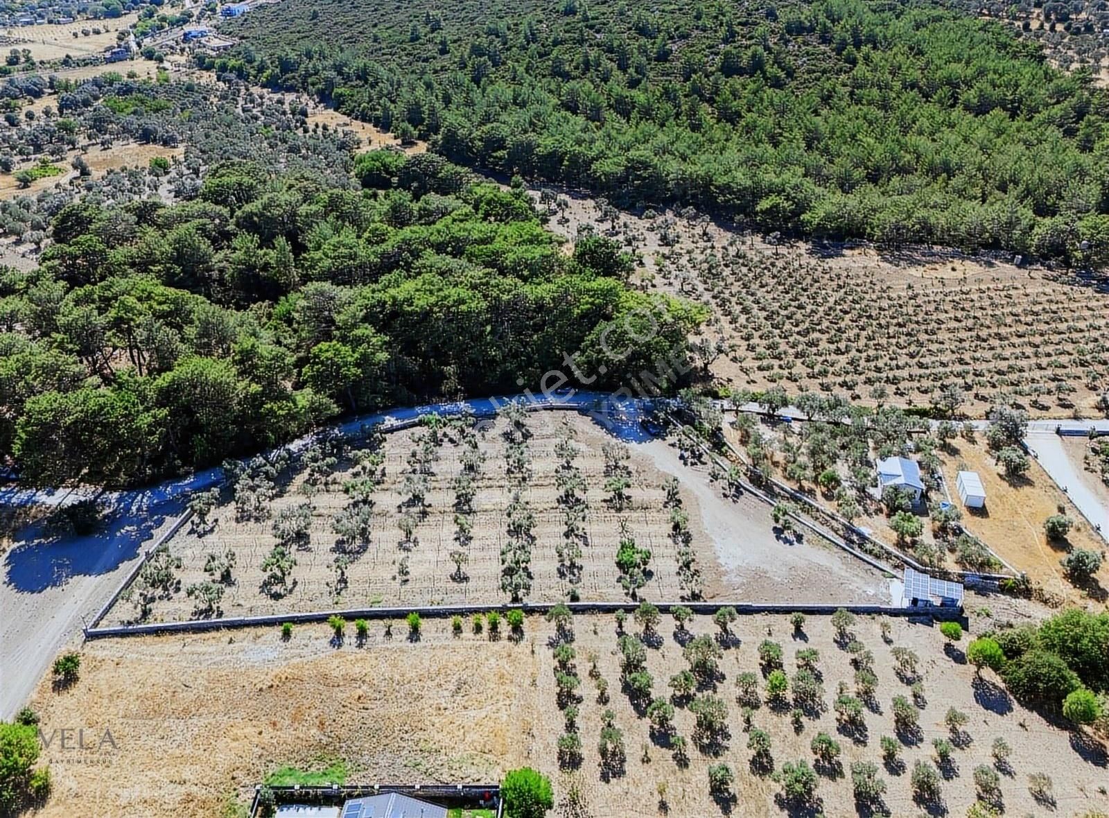 Urla Barbaros Köyü Satılık Tarla - Görsel 26