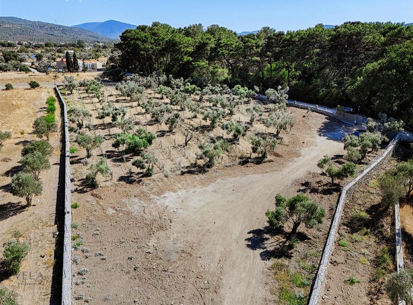 Urla Barbaros Köyü Satılık Tarla - Görsel 19