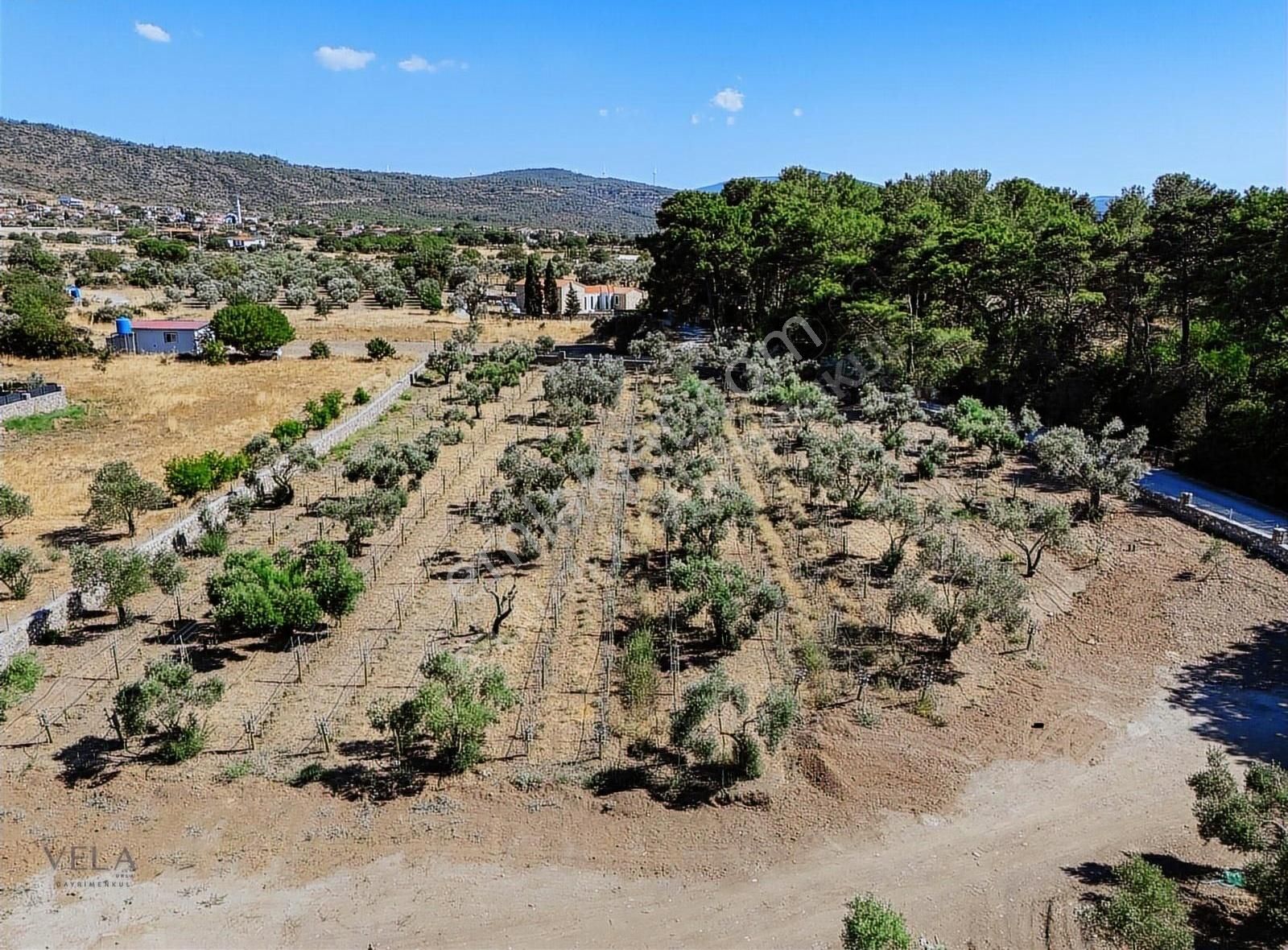 Urla Barbaros Köyü Satılık Tarla - Görsel 15