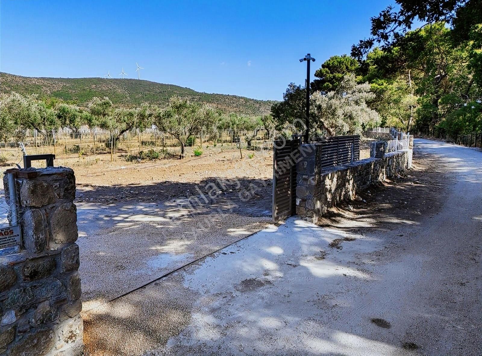 Urla Barbaros Köyü Satılık Tarla