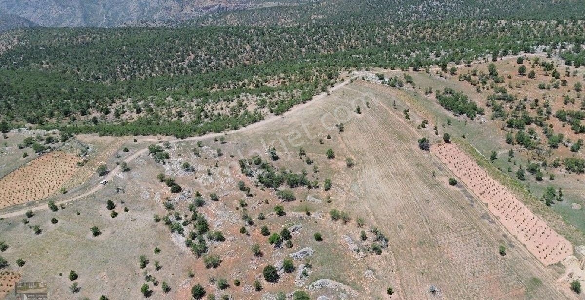 Konya Bozkır Hamzalar Mevki 204 M2 Yatırımlık Bahçe İsteyenler - Görsel 4