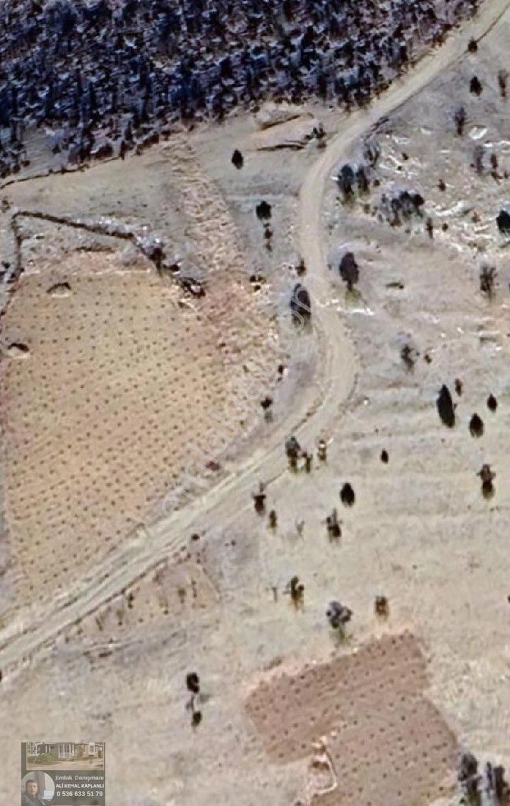 Konya Bozkır Hamzalar Mevki 204 M2 Yatırımlık Bahçe İsteyenler - Görsel 8