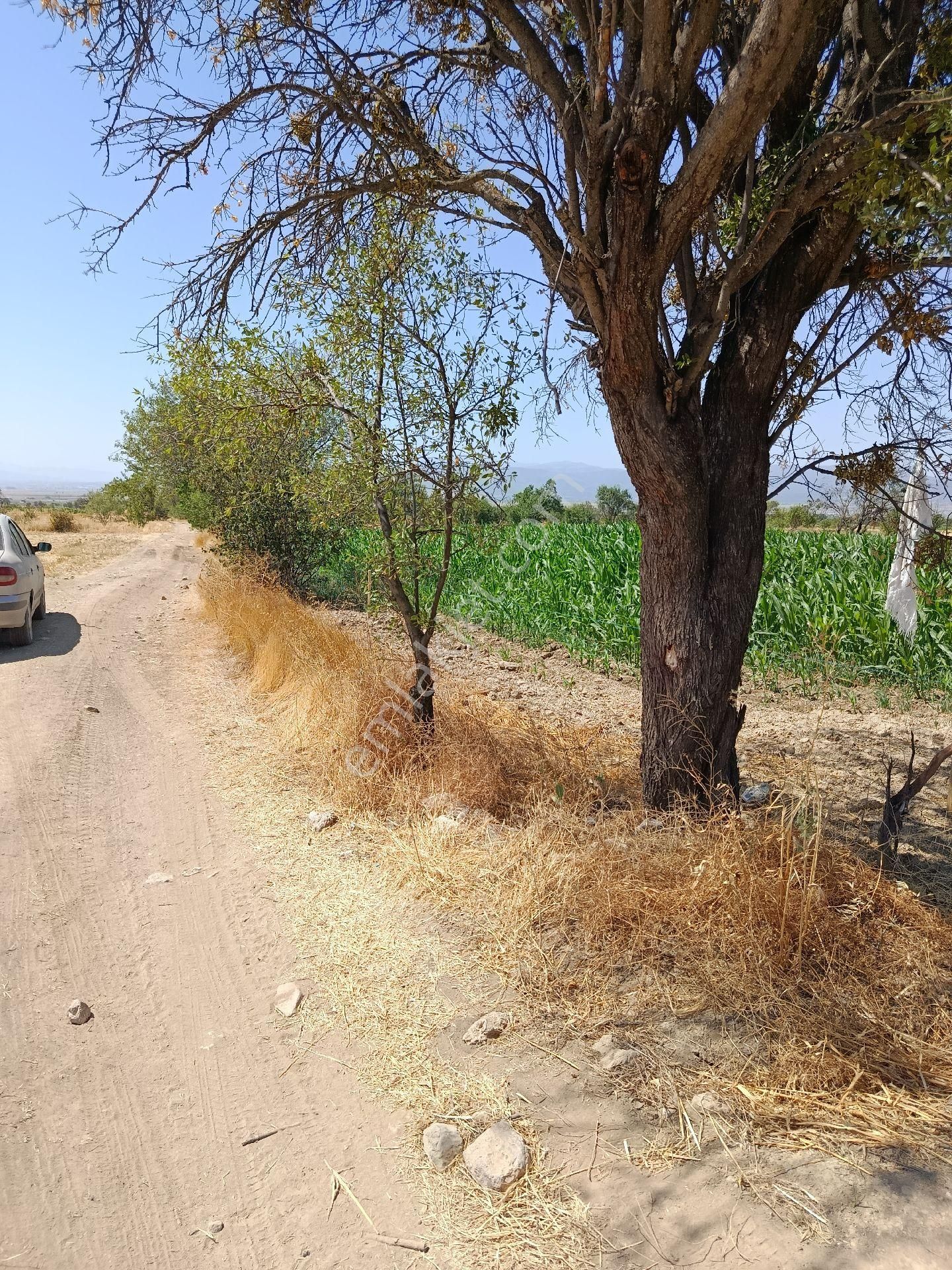 Denizli Acıpayam Yeşilyuva Satılık Tarla