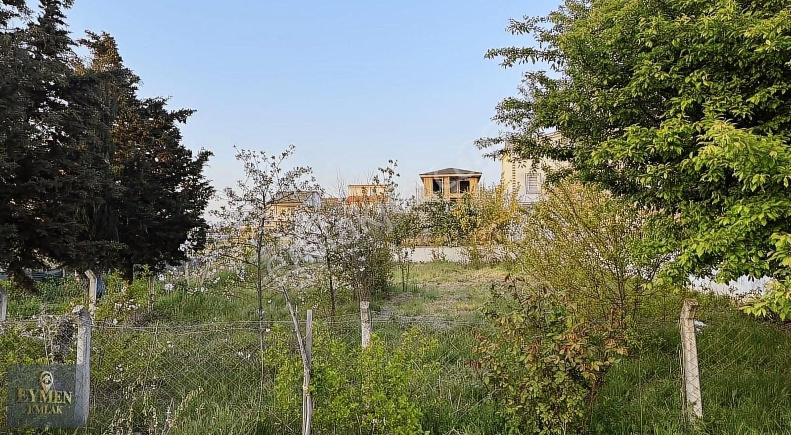 Köşebaşı Tekli Telle Çevrili 180m Arsa - Görsel 2