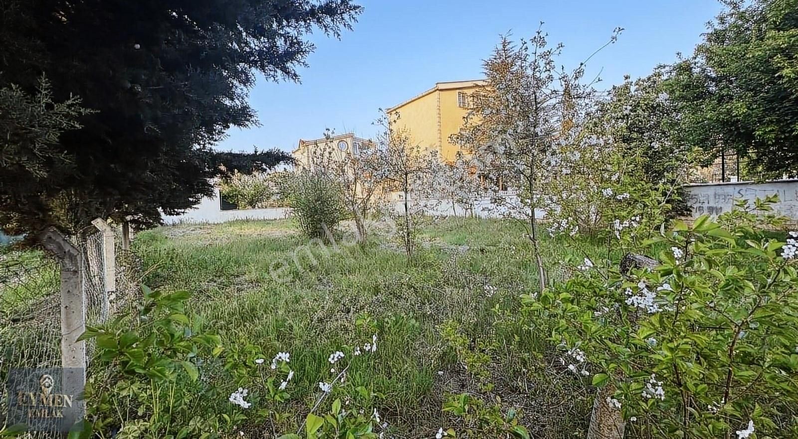 Köşebaşı Tekli Telle Çevrili 180m Arsa - Görsel 7