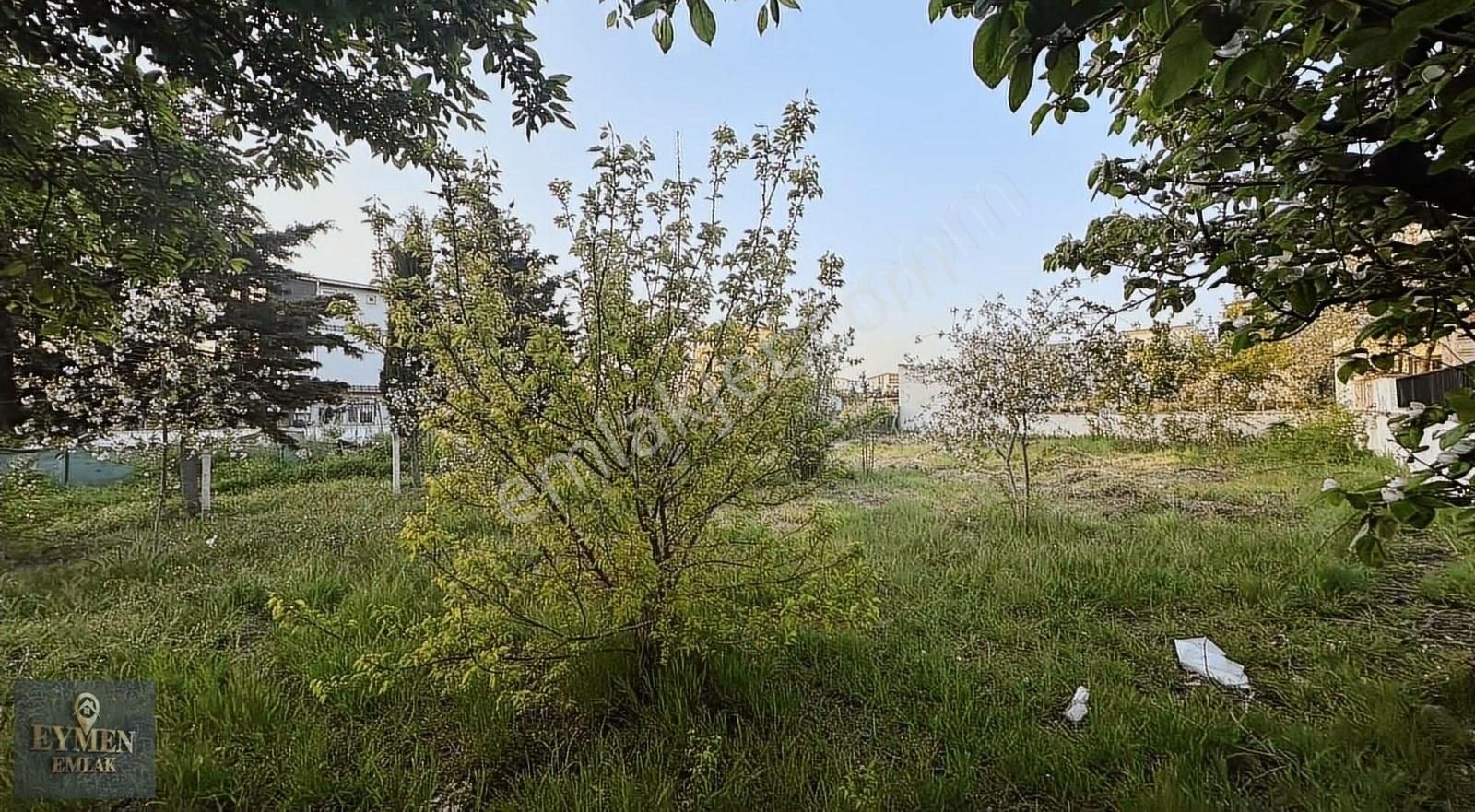 Köşebaşı Tekli Telle Çevrili 180m Arsa - Görsel 9