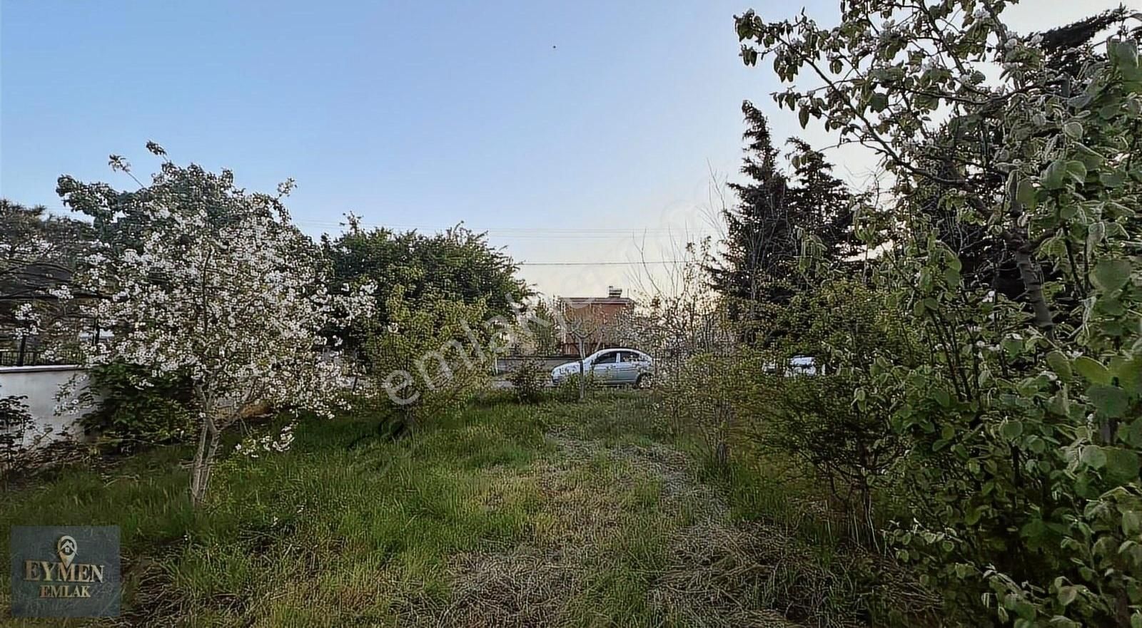 Köşebaşı Tekli Telle Çevrili 180m Arsa - Görsel 11