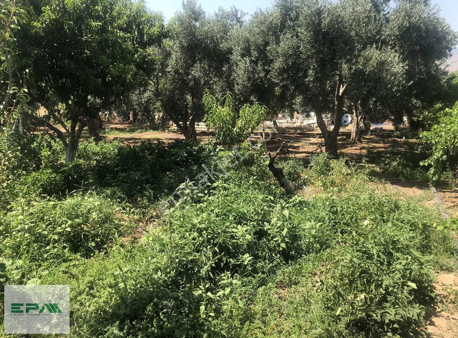 Satılık Menemen Türkeli'nde Keyifli Bahçeli Ev Sanayi -depo İmara Açık Arazi - Görsel 3