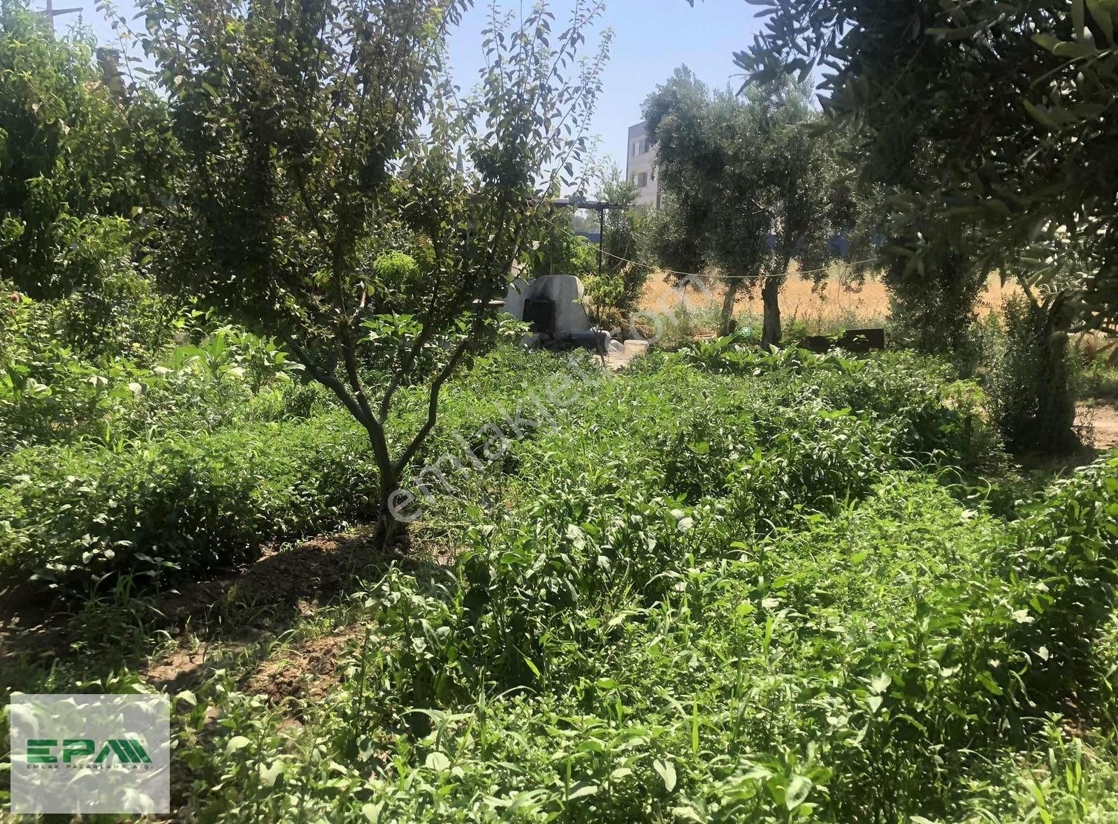 Satılık Menemen Türkeli'nde Keyifli Bahçeli Ev Sanayi -depo İmara Açık Arazi - Görsel 9