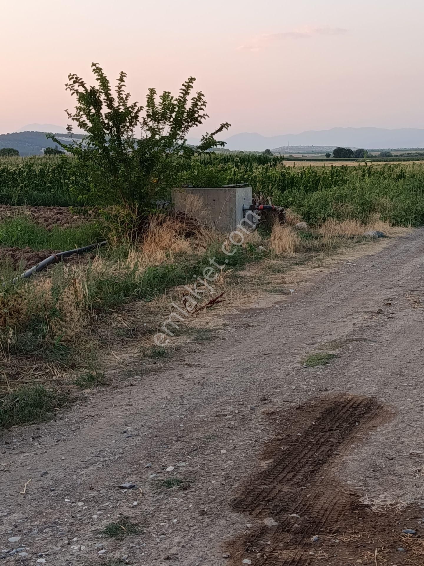 Denizli Acıpayam Dedebağı Sodajlı Ges Panelli Satılık Tarla - Görsel 6