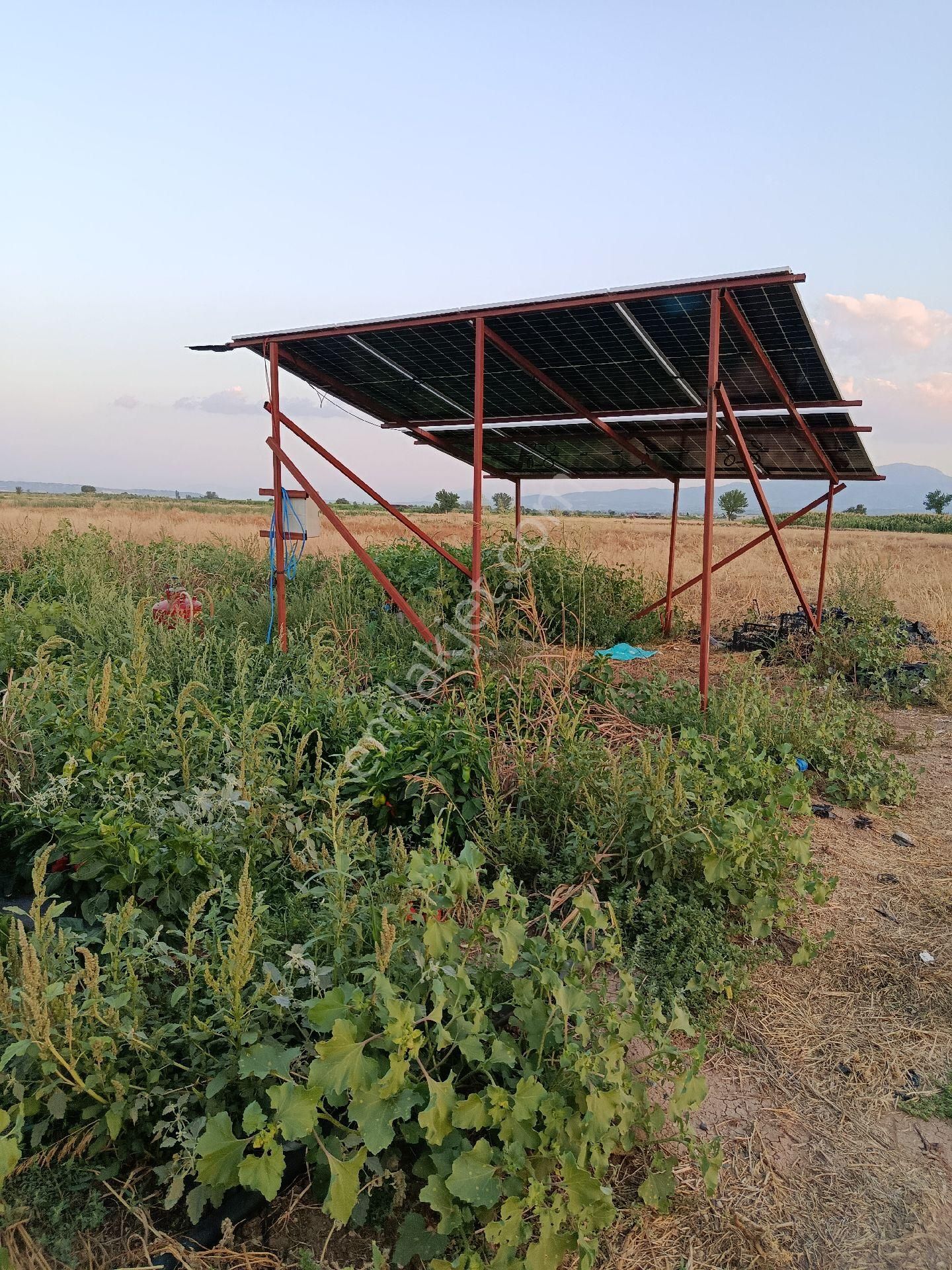 Denizli Acıpayam Dedebağı Sodajlı Ges Panelli Satılık Tarla - Görsel 8