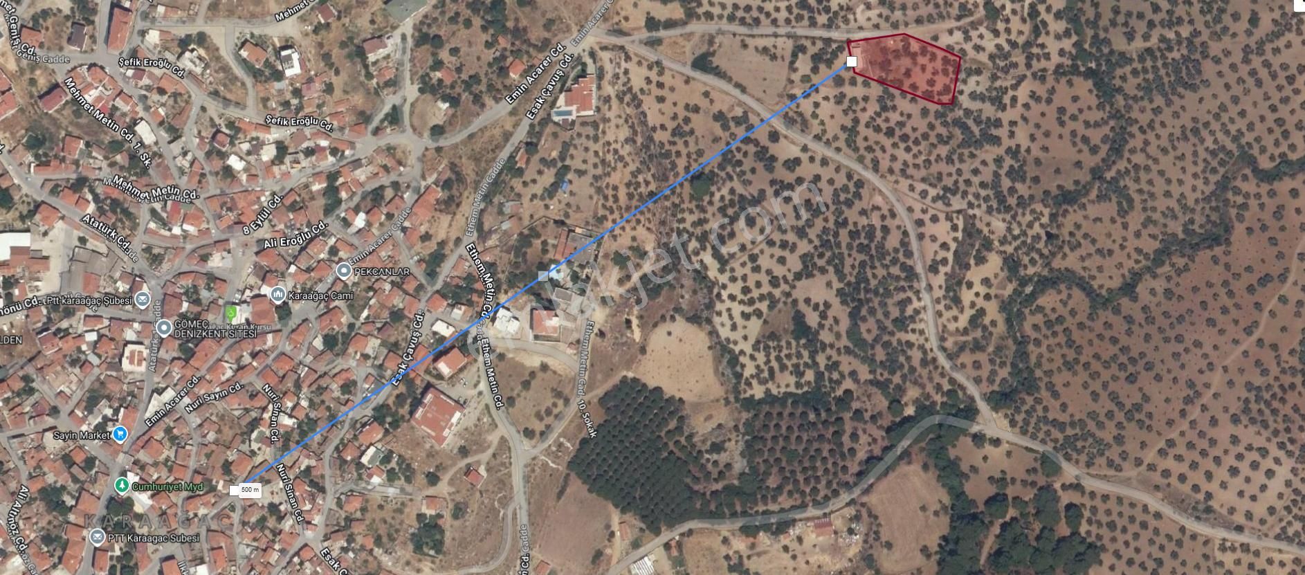 Ali Türk Gayrimenkulden Karaağaç Mahallesinde Satılık Zeytinlik - Görsel 14