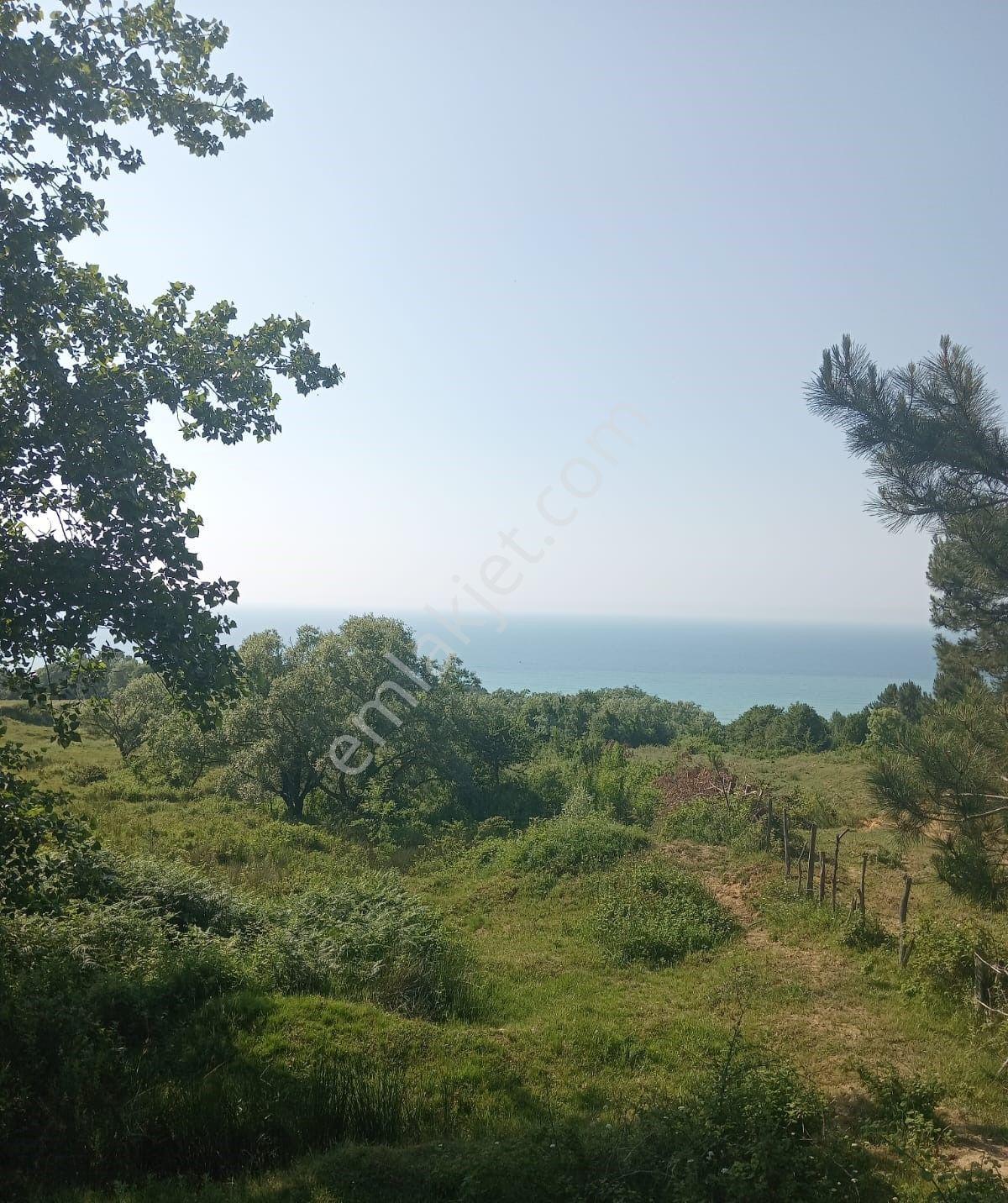 Sinop, İncirpınrında Denizmanzaralı,3 Tarafı Yola Cephe 17 Dönüm Satılık Tarla - Görsel 10