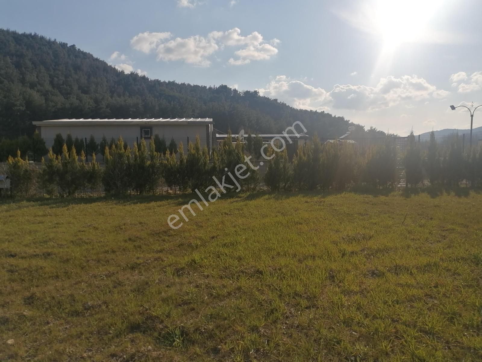 Bal Gayrimenkul-çatalcada Elektrik Su Hazır 580 M2 Köşe Parsel