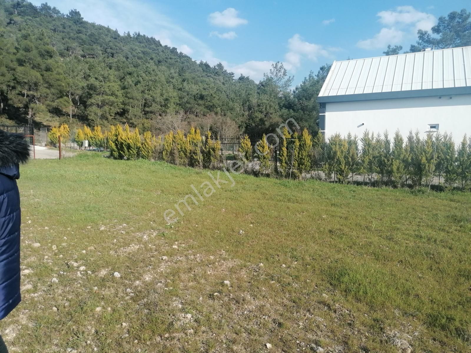 Bal Gayrimenkul-çatalcada Elektrik Su Hazır 580 M2 Köşe Parsel - Görsel 2