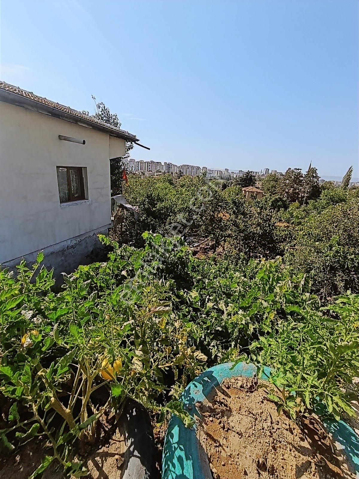 Talas Harman Mahallesinde 900 M² Arsa İçinde 300 M² Villa - Görsel 6