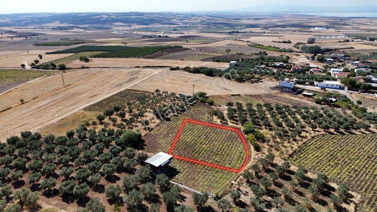 Remax Area'dan Manyas Gölü Manzaralı 1667,22 M² Büyüklüğünde Satılık Bağ! - Görsel 5