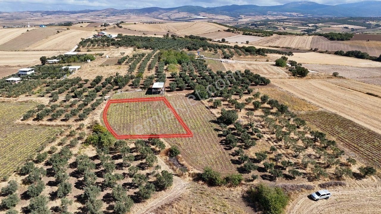 Remax Area'dan Manyas Gölü Manzaralı 1667,22 M² Büyüklüğünde Satılık Bağ! - Görsel 7