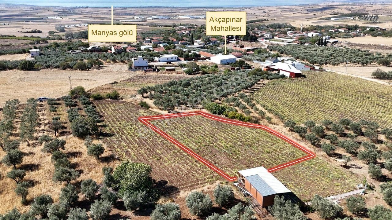 Remax Area'dan Manyas Gölü Manzaralı 1667,22 M² Büyüklüğünde Satılık Bağ!