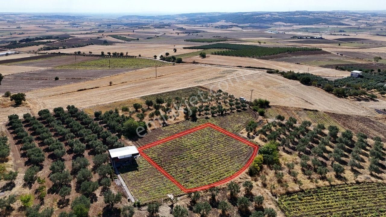 Remax Area'dan Manyas Gölü Manzaralı 1667,22 M² Büyüklüğünde Satılık Bağ! - Görsel 6