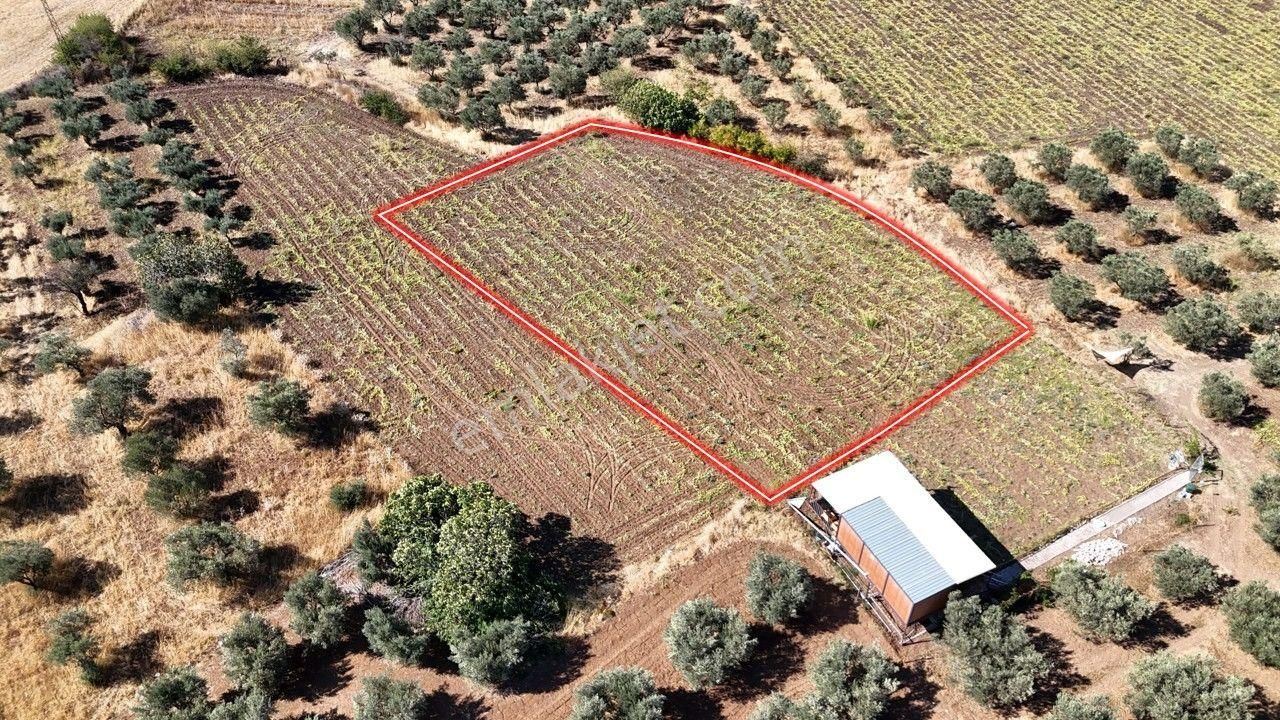 Remax Area'dan Manyas Gölü Manzaralı 1667,22 M² Büyüklüğünde Satılık Bağ! - Görsel 3