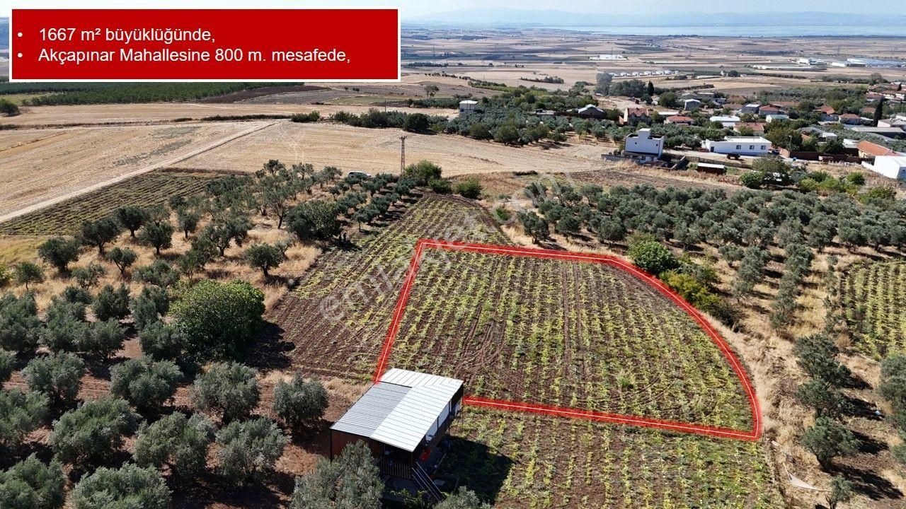 Remax Area'dan Manyas Gölü Manzaralı 1667,22 M² Büyüklüğünde Satılık Bağ! - Görsel 2