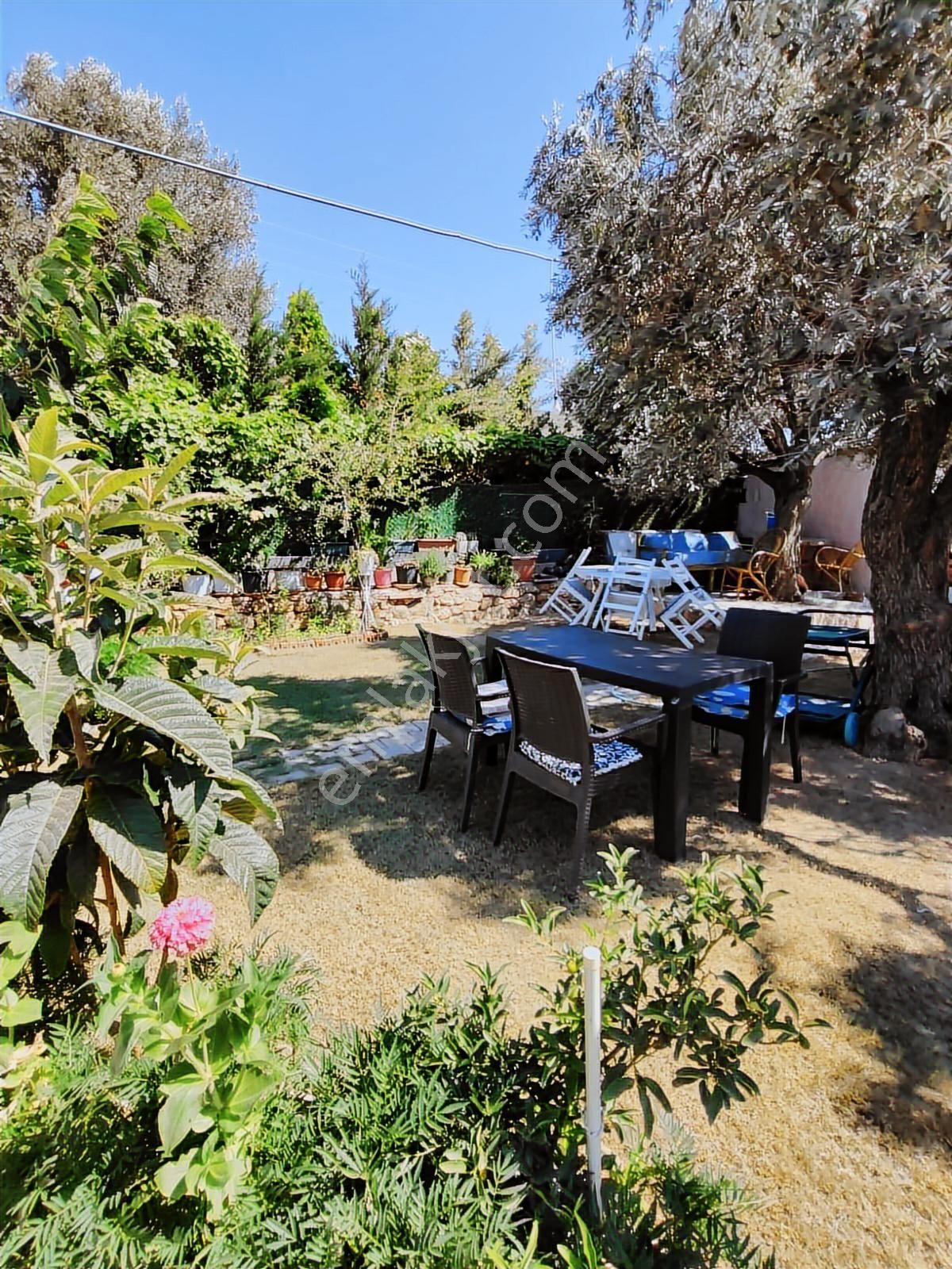 Urla Zeytineli'nde Denize Çok Yakın Müstakil Tapulu Ev