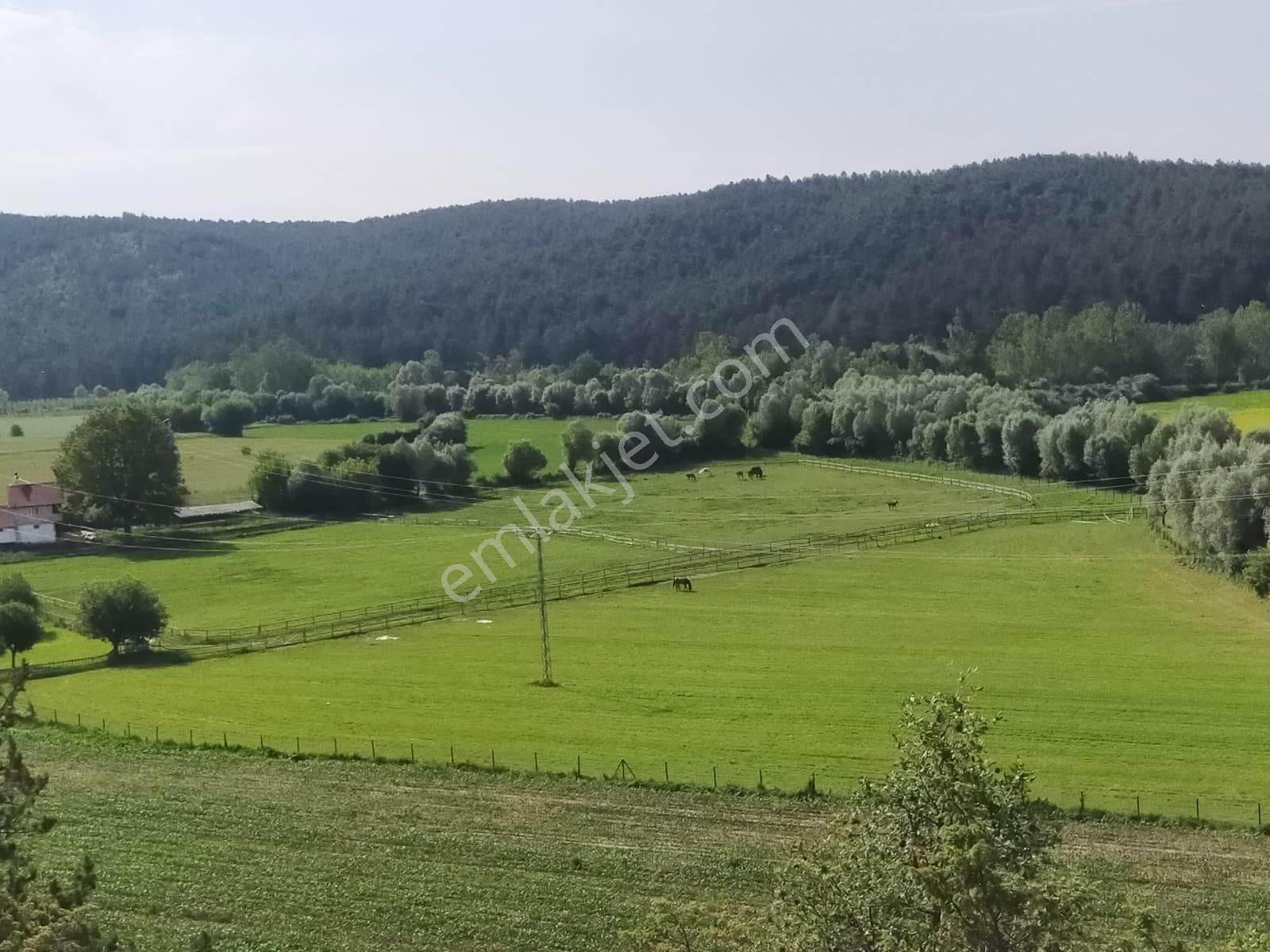 Remax Natural Den Kastamonu' Da Satılık Özel At Çiftliği - Görsel 20