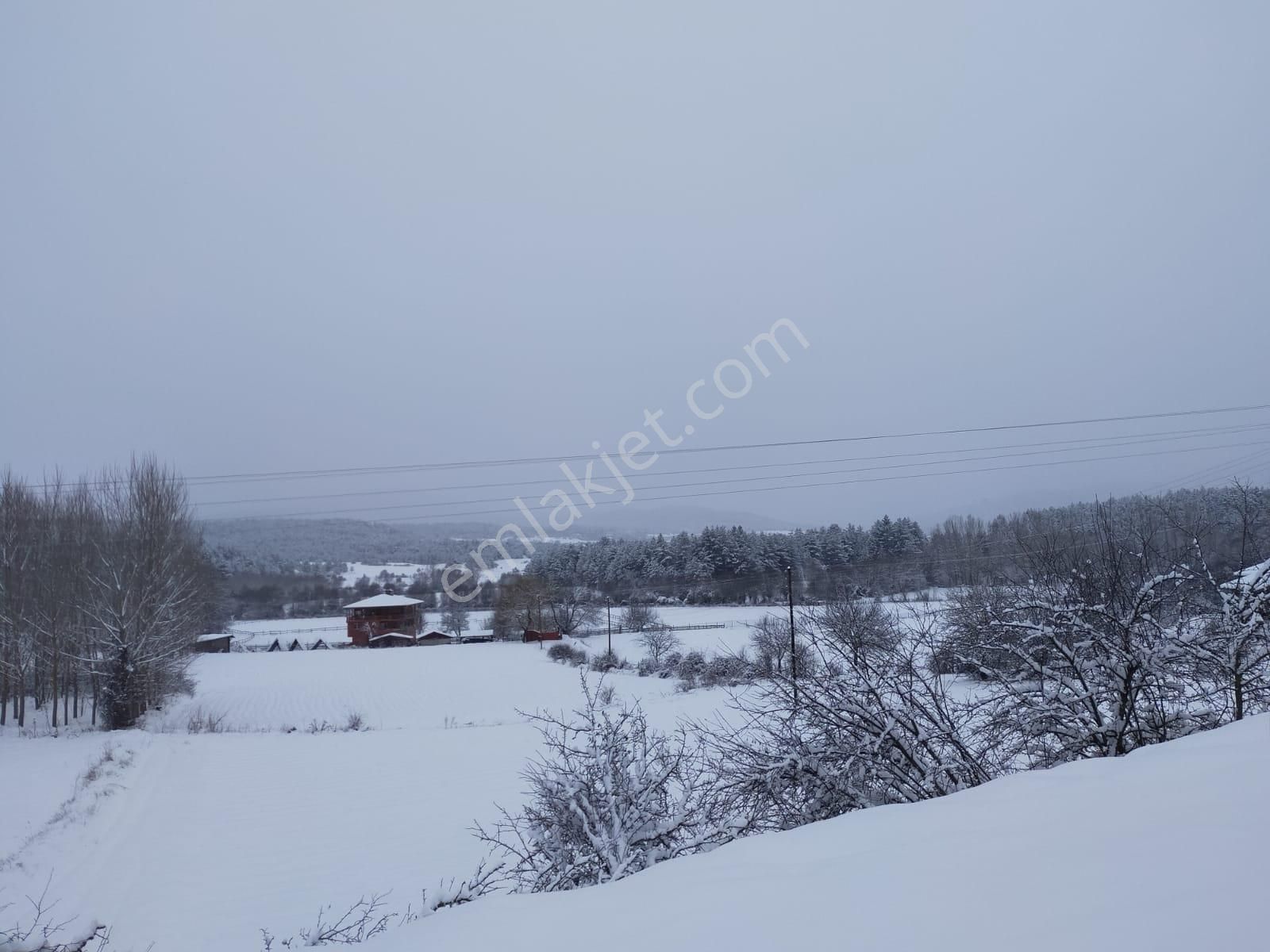 Remax Natural Den Kastamonu' Da Satılık Özel At Çiftliği - Görsel 25