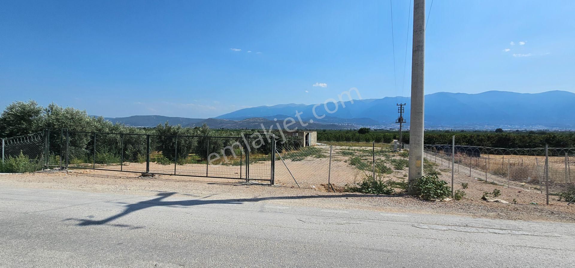 Gürsu Karahıdır Köyün'de Asfalta Cephe 6.500m2 Satılık Arazi..