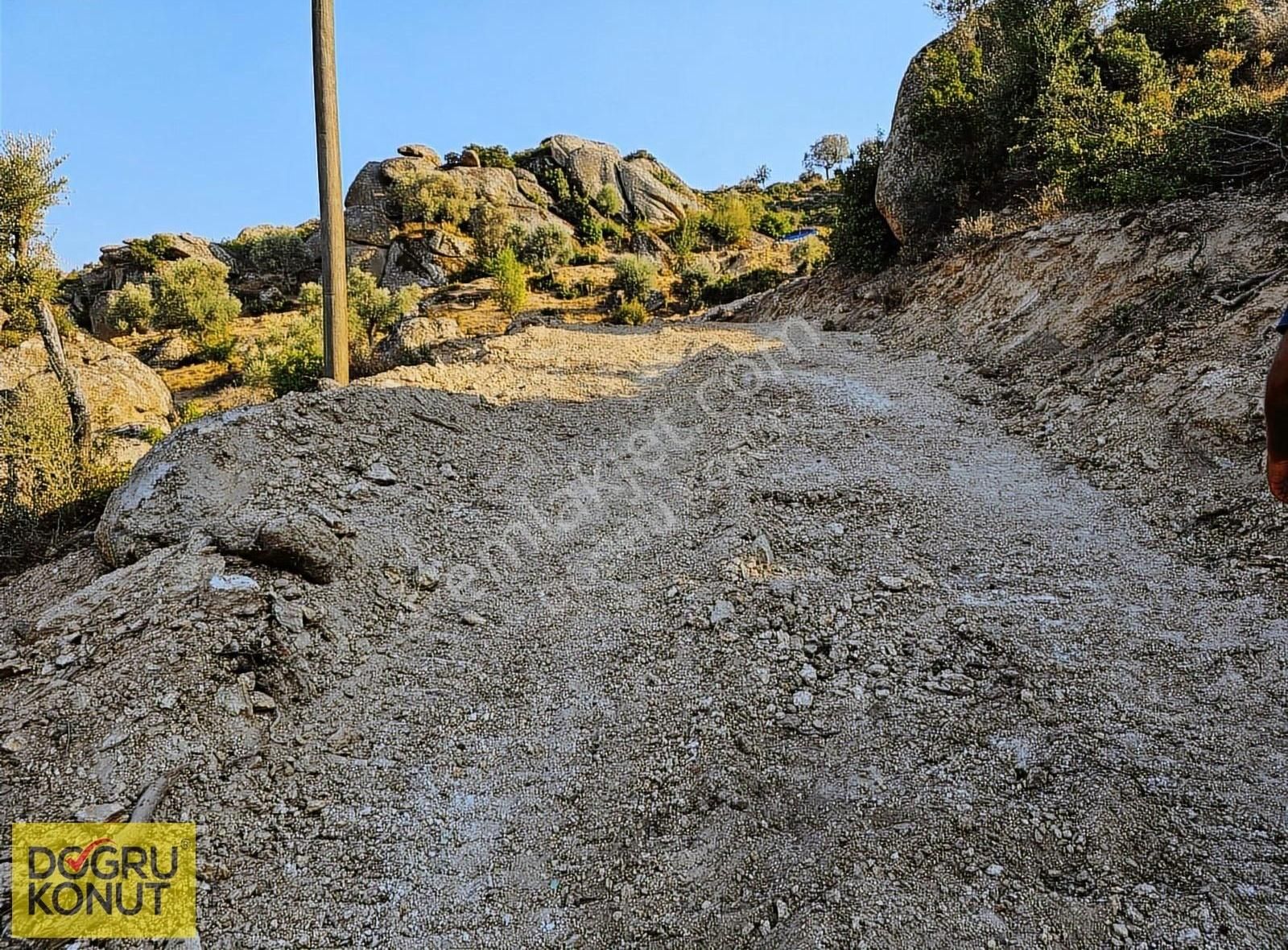 Aydın Koçarlı Gözkayası Köyünde Satılık Zeytinlik Takasa Açık - Görsel 19