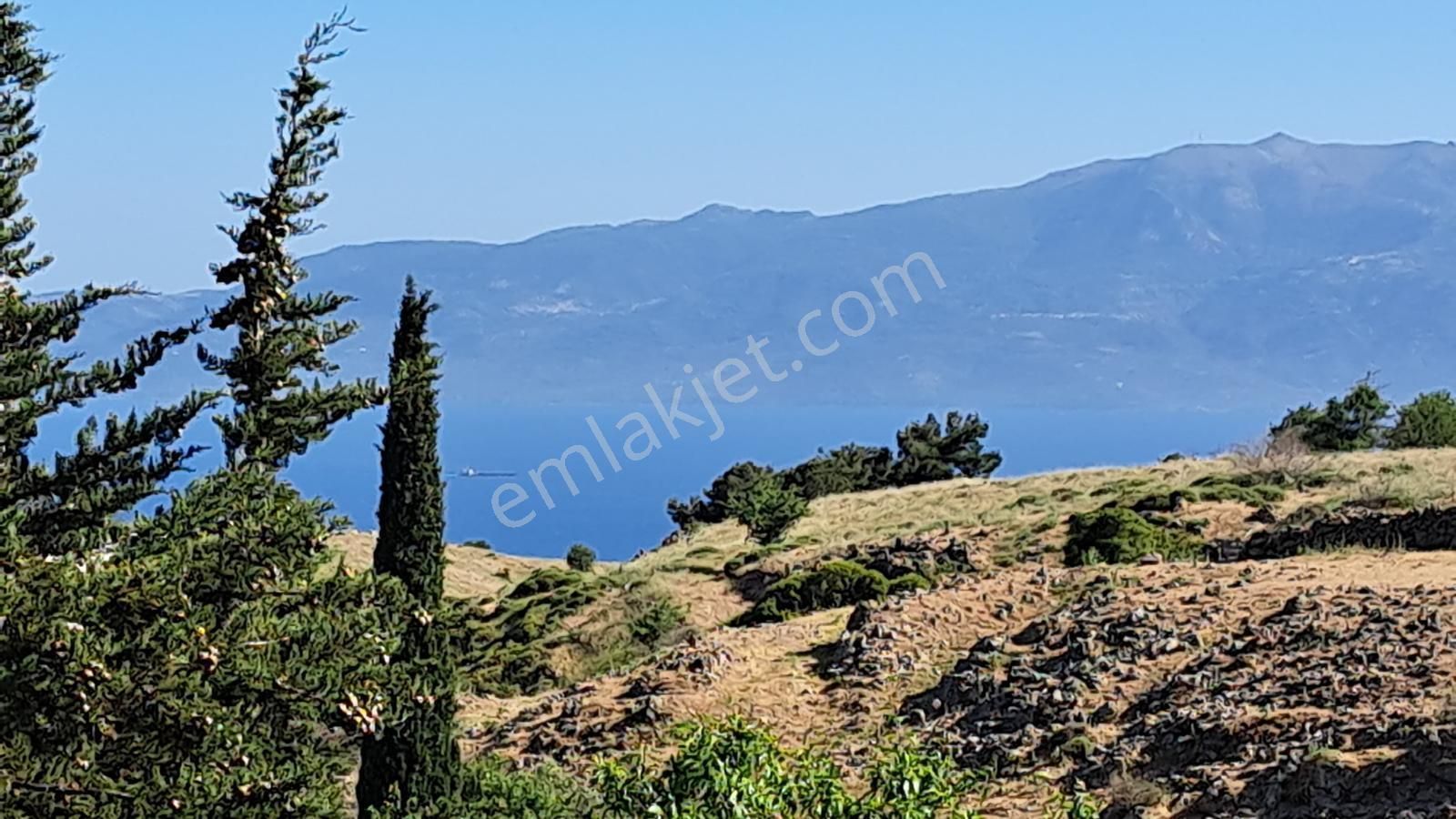 Assos Kuruoba'da Yeni Yapı 1100m2 Arsa İçinde Satılık Ultra Lüks Taş Ev - Görsel 27