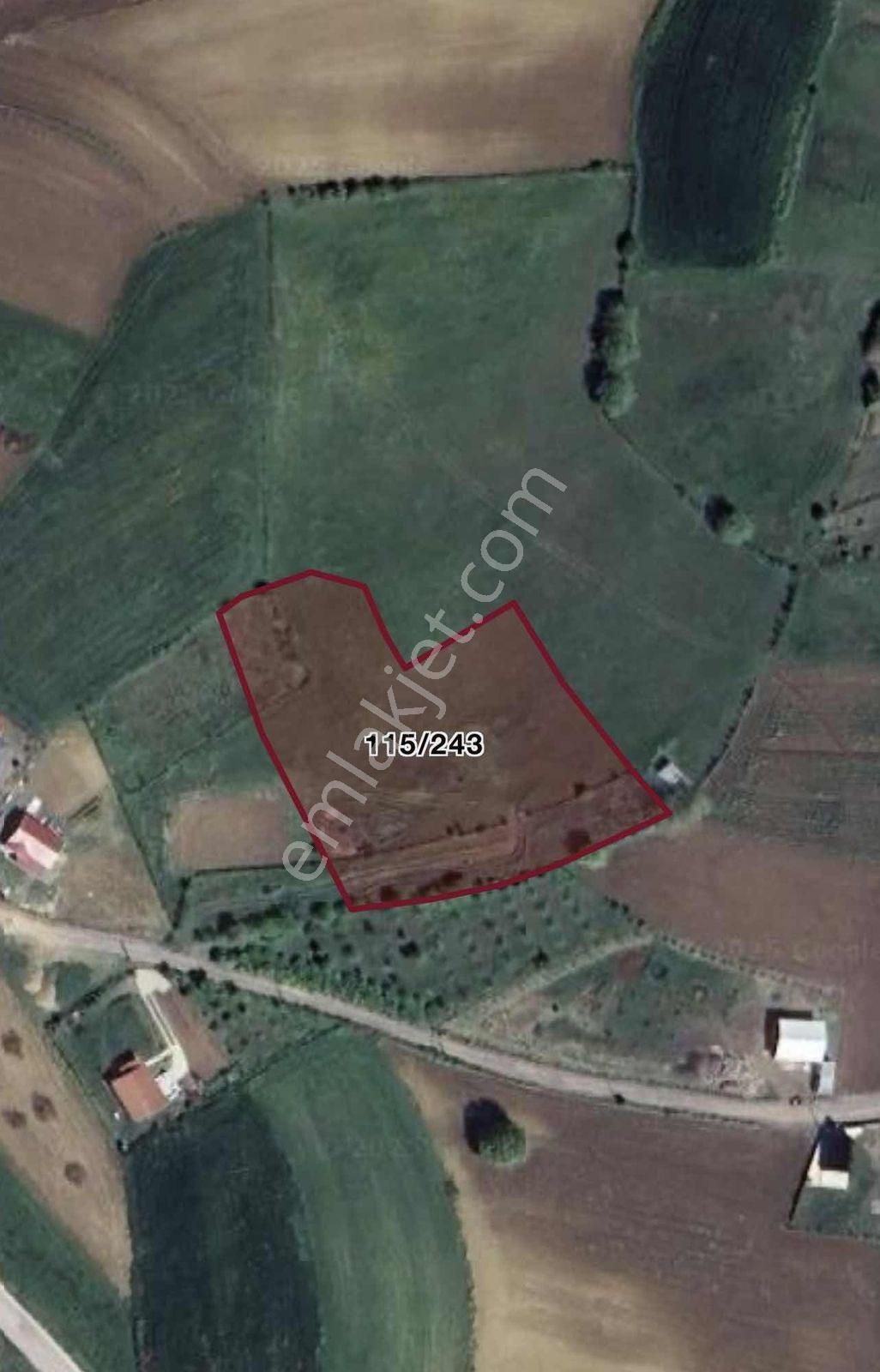 İzmit Yenice'de Satılık 4353m2 Arazi - Turgut Gayrimenkul