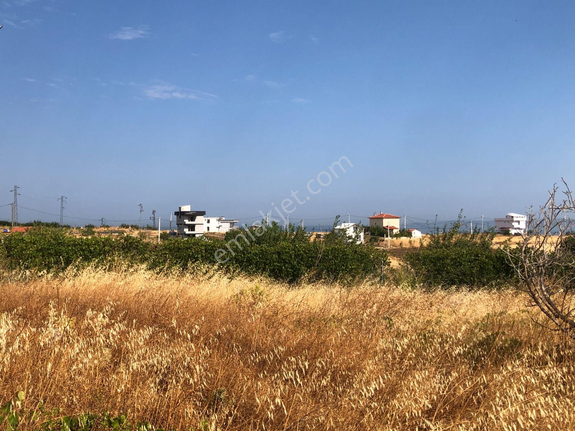 Şarköy De Işık Emlaktan Kocaali Mah De 308 M2 0/25 İmarlı Arsa - Görsel 10