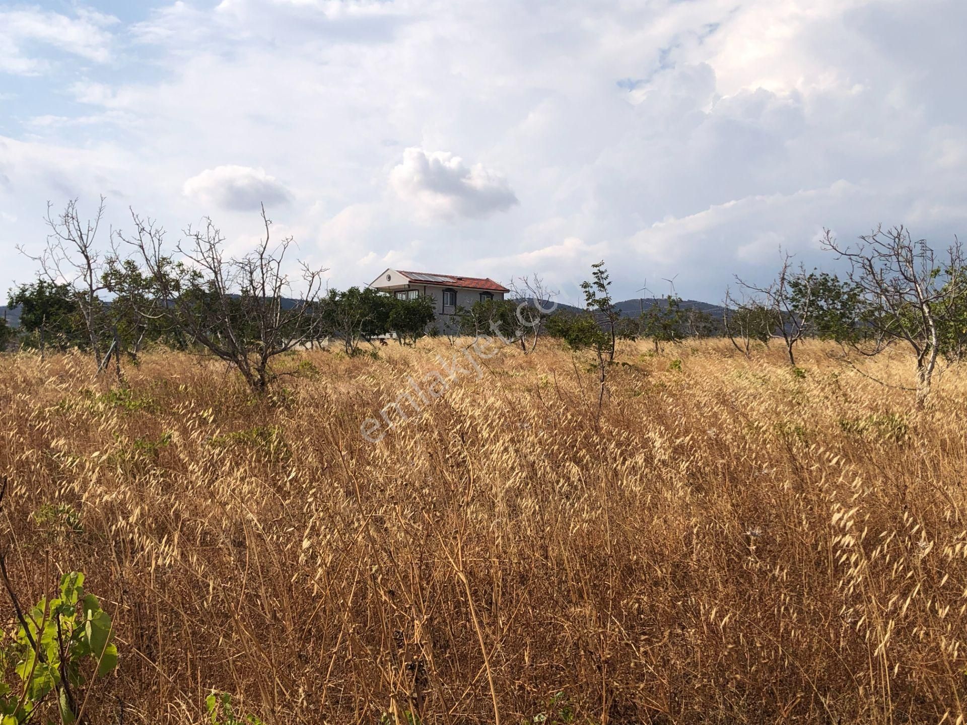 Şarköy De Işık Emlaktan Kocaali Mah De 308 M2 0/25 İmarlı Arsa - Görsel 8