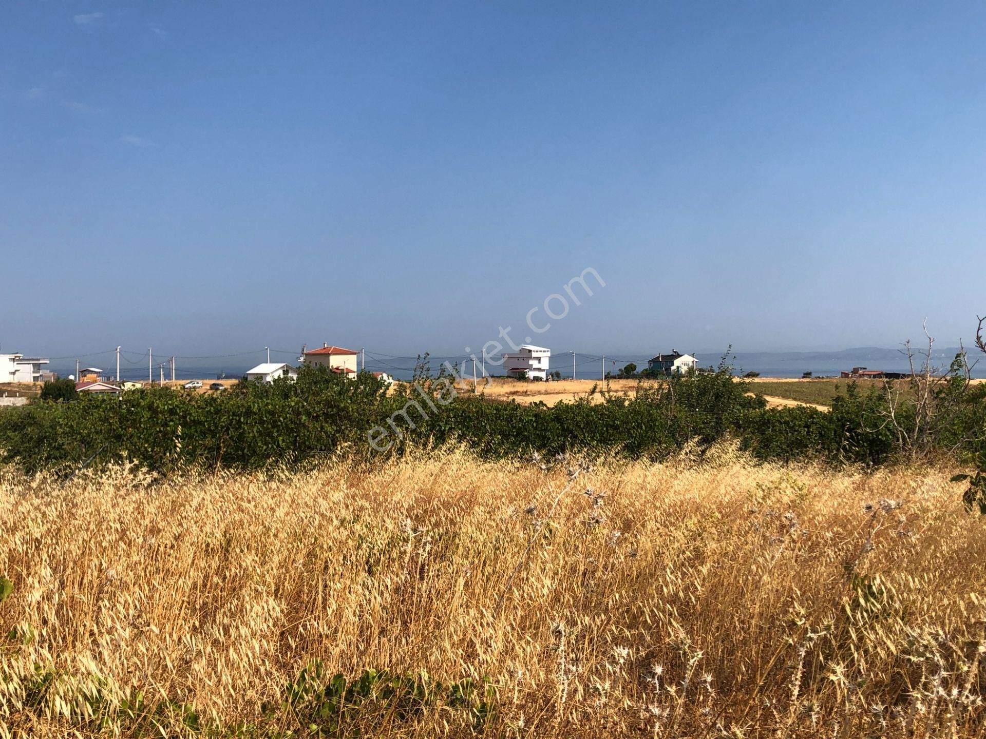 Şarköy De Işık Emlaktan Kocaali Mah De 308 M2 0/25 İmarlı Arsa - Görsel 4